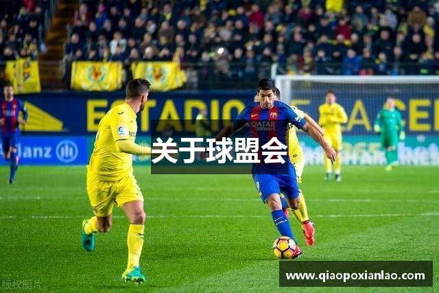 关于球盟会